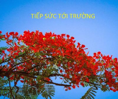 TIẾP SỨC ĐẾN TRƯỜNG